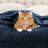 Superior Solid Polyester Reversible All-Season Fleece Throws Blanket-845056056-904113374