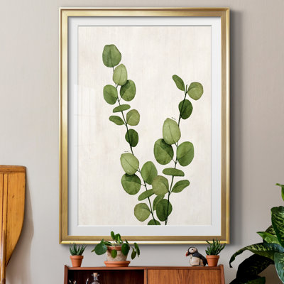 " Botanical Wash III "