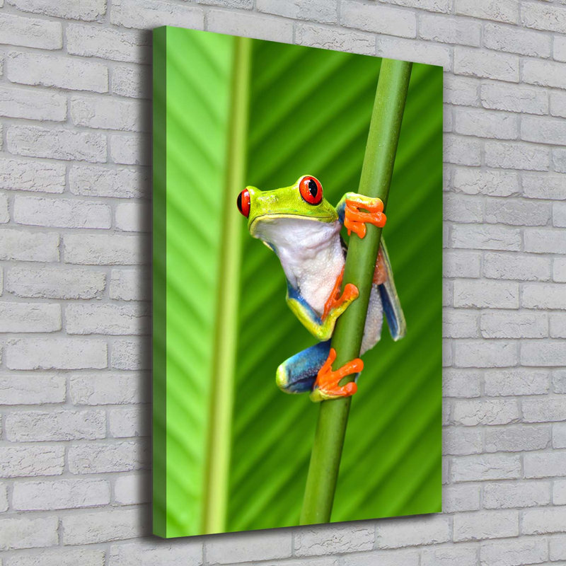 Tree Frog - Wrapped Canvas Print