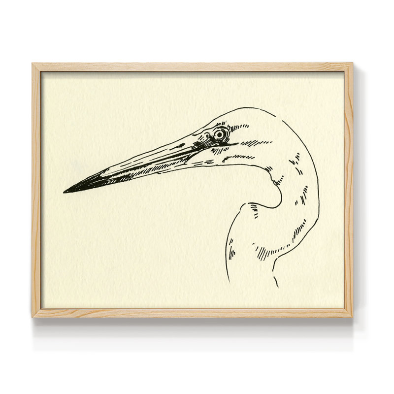 Tête de héron II - reproduction encadrée - réarmable, H 8 po x l 10 po, Naturel