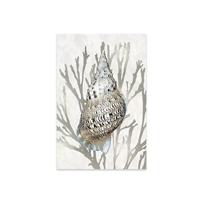Shell Coral Silver I Print On Acrylic Glass