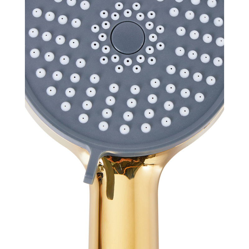 Shower Head and Hose Kit SURIPA, Gold