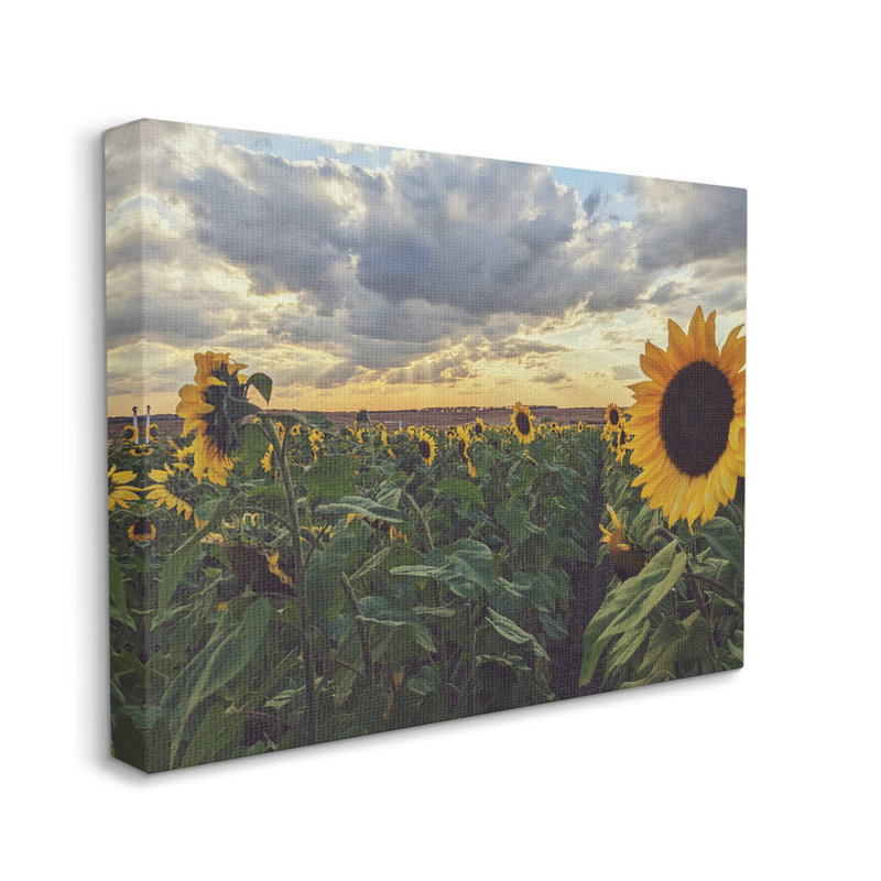 «Sunny Sunflower Patch Field» par Kali Wilson - photographie, L 30 po x H 24 po, Toile tendue