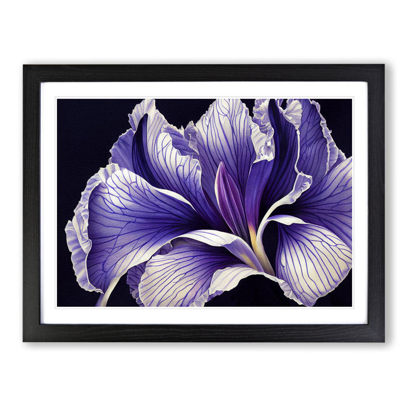 XH1022-9452X Unique Flower - Single Picture Frame Print, Black, 46cm H x 64cm W x 2cm D