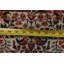 Tapis motif cachemire persan à motif cachemire 8 x 11 po