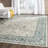 Bristol Point Performance Oriental Rug-19263440