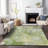 Machine Washable Indoor/Outdoor Chayden ACN1005 Green Rug-99132369