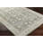 Delyse Oriental Indoor Rug-849650401