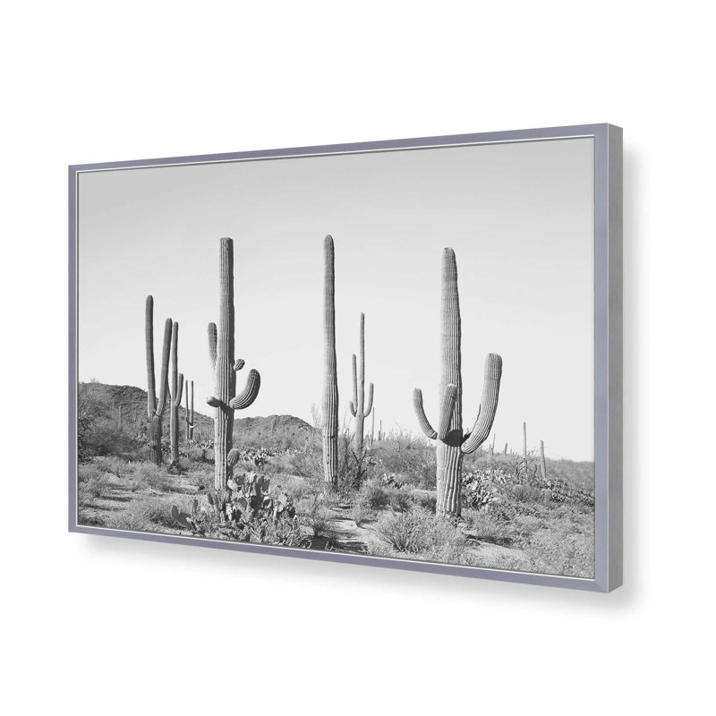 «Grey Cactus Land» par Garima Dhawan, reproduction d'art, Argent argent, H 18 po x l 24 po