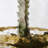 Arid Solitude a Hand Embelished Textured Framed Art Print Matted under Glass-1314520983