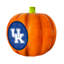 Décor de citrouille en résine à logo 3D NCAA Kentuck | 10 po
