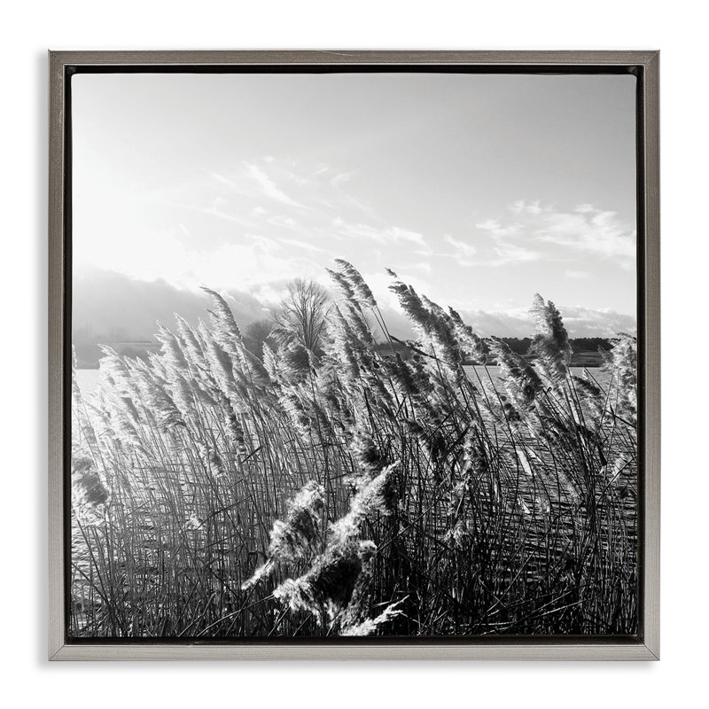 «Tall Grass Lake Water Landscape», art mural sur toile flottante par Sarah Jane, Cadre flottant gris lustré