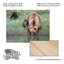 Renee Doyle-686636076