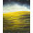 Hillock - Yellow Kitchen Canvas for Stylish Home Decor