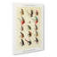 Trout Fishing Flies Version 9 by Mary Orvis Marbury - Print on Canvas-89189705-89189702