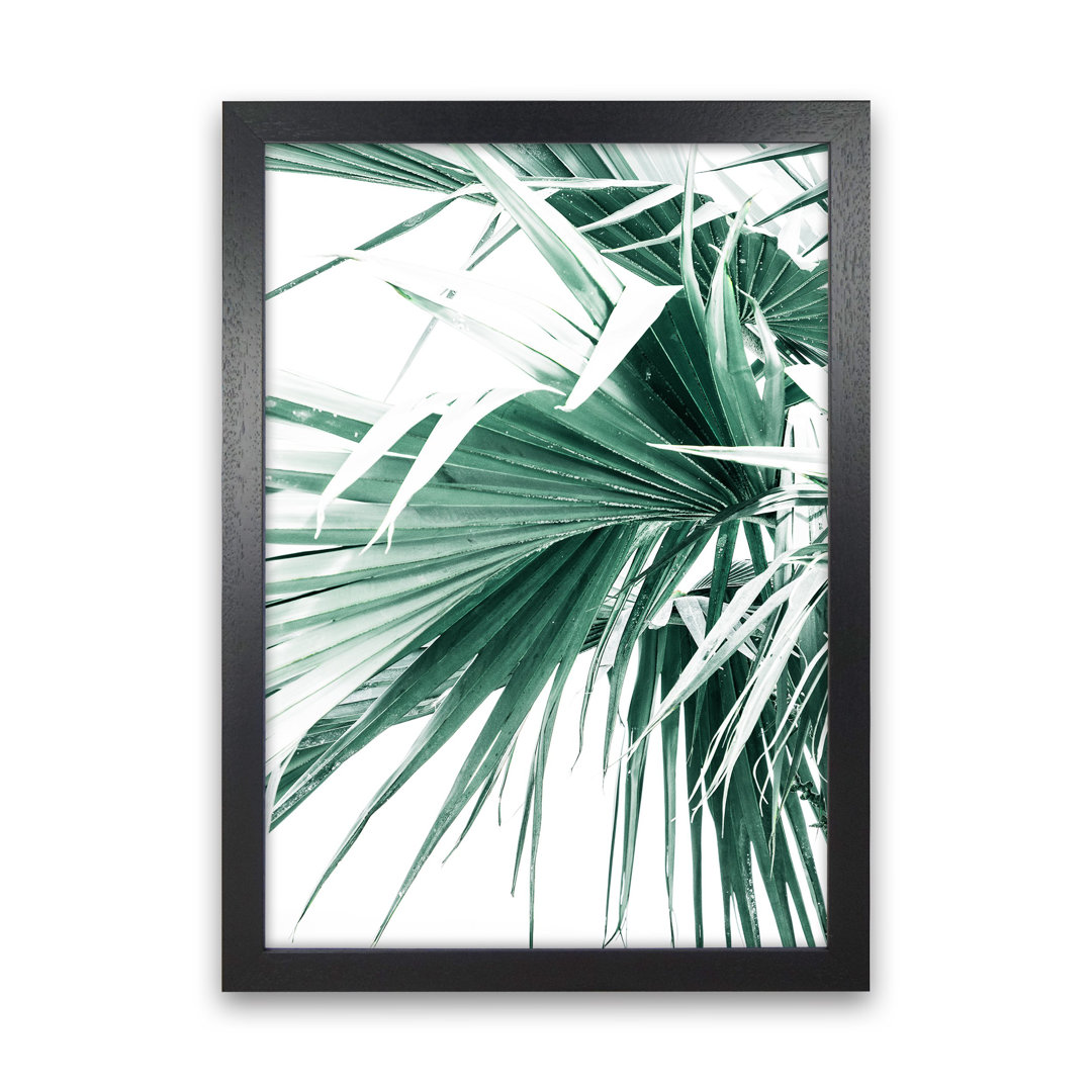 Palm Leaves by Victoria Frost - Photograph