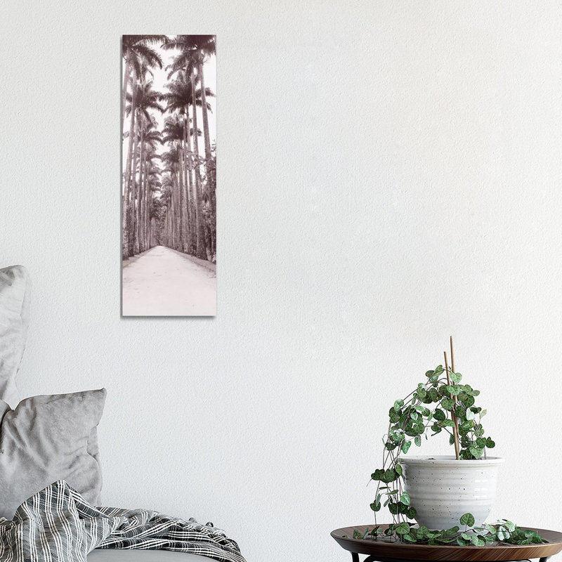 Garden Path, Rio De Janeiro, Brazil by Panoramic Images - Wrapped Canvas Panoramic Print, 30.48 cm H x 91.44 cm W x 1.91 cm D