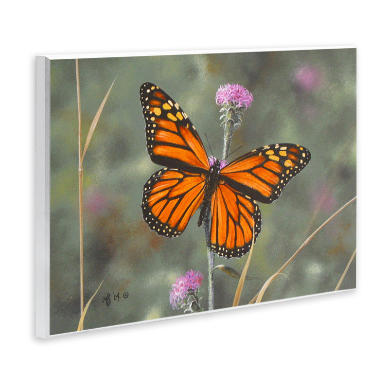 "Summer Summer Butterfly", art mural par Mark Kelso, H 10 po x l 15 po