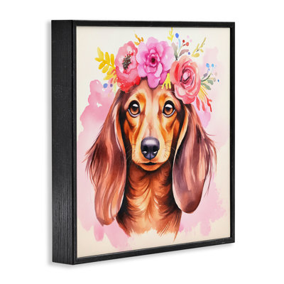 Boho, chien teckel encadré par Andrea Haase