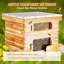 Ensemble de démarrage 20 ruches Syrette Bee Hive