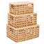 Ensemble de 3 Chasetin Ratten