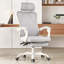 Chaise de bureau ergonomique en filet à haut dossier avec repose-pieds et appui-tête / soutien lombaire réglable - inclinaison de 135 °, capacité de 350 lb, pour le bureau à domicile / la salle d'étude / la chambre à coucher-1067269301