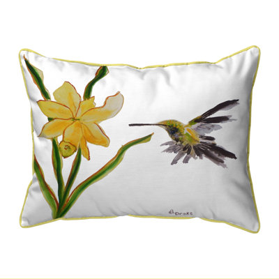 Hummingbird Outdoor Throw Pillow