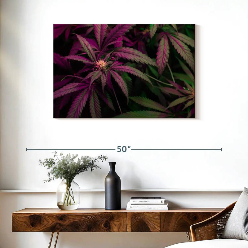 Lavande, marijuana, H 24 po x l 36 po