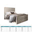 Anterrius Upholstered Bed-1014483449-1014483443