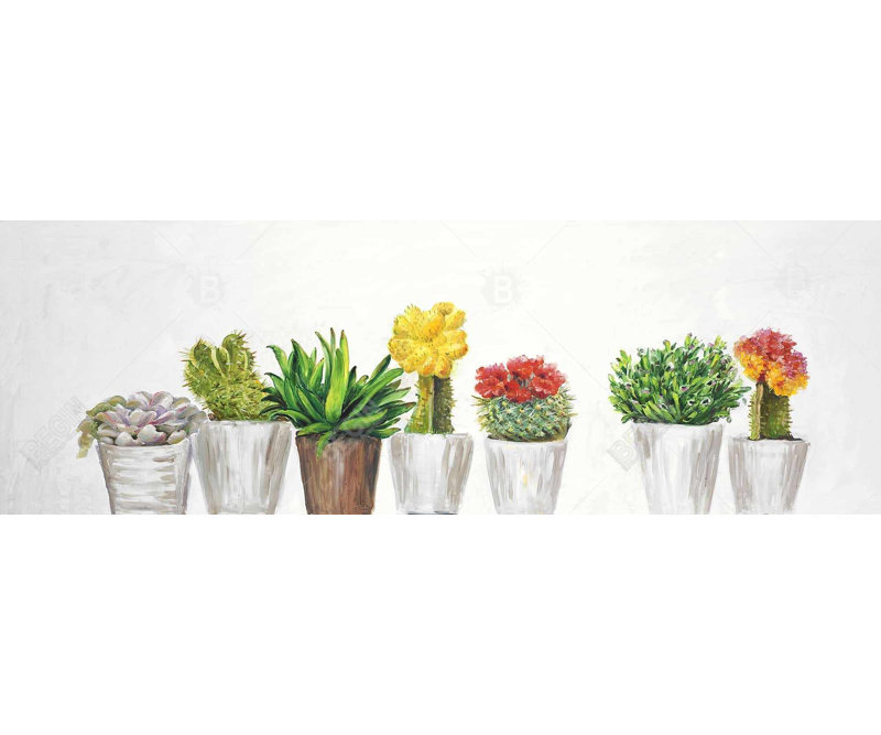 Small Cactus & Succulents Framed Canvas | Botanical Wall Art