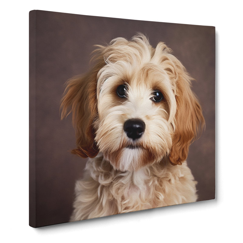 Cockapoo Photograph No.1 - Print, 35cm H x 35cm W x 3cm D