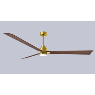 Alessandra Ceiling Fan