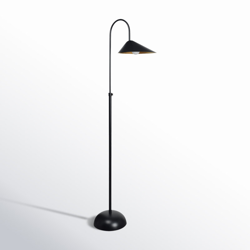 Darien 68.5'' Black Arched Floor Lamp