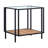 Vireo Glass Top End Table-1633958950