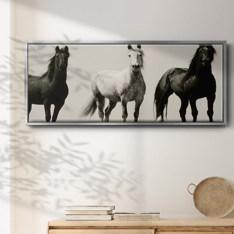 Wild Stallions- Framed Canvas