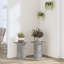 Haig Plant Stand - Set of 2-2027179072-2027179082