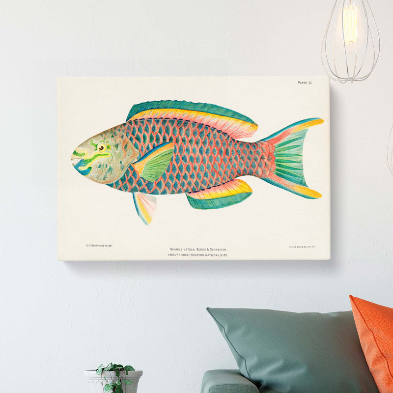 Tropical Fish by Henry Baldwin - Wrapped Canvas, 40cm H x 60cm W x 3cm D