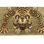 Tapis en laine Nevaehrose-700201163
