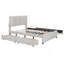 Lit plateforme tapissier avec 2 tiroirs et 1 lit gigogne-1636183670-1636183668