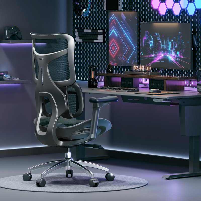 Ergonomic Office Chair, with Dual Dynamic Lumbar Support, 4D Armrests, Black/Silver, Black
