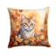 Coussin Raas-112679516