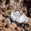 Adamite et calcite sur limonite. Mapami, Mexique