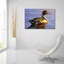 «Lone Pintail» par Mark Mueller, art animalier-101650934