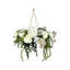 Hydrangea And Sedum Chandelier