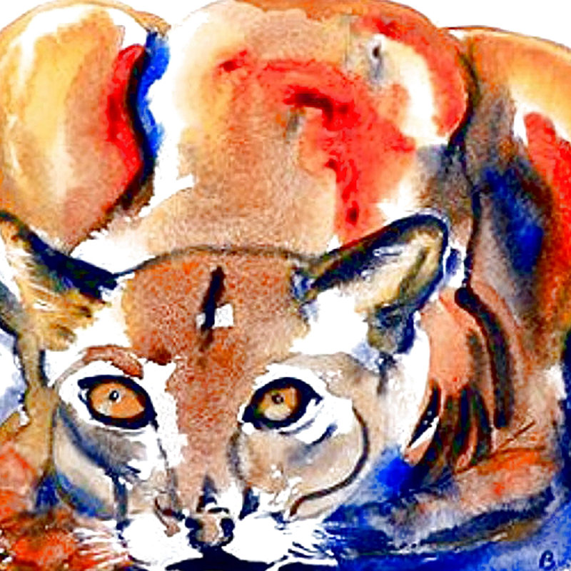 Housse et insert de coussin d'extérieur carré Cougar, Petit