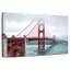 Brume orageuse Lilie Golden Gate Bridge-108818534