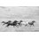 «Horse Run I» par PHBurchett - reproduction d'art sur toile tendue