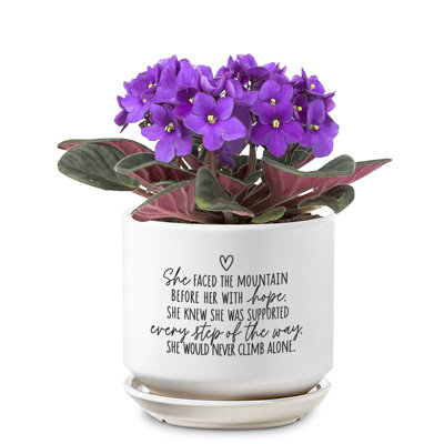 Planter She Faced The Mountain With Hope