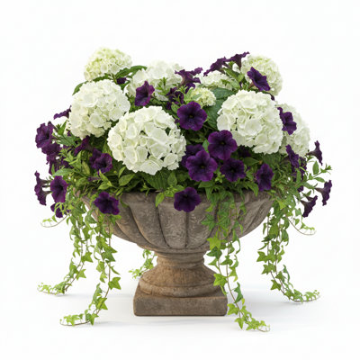 Sela Cement Tazza Compote Planter