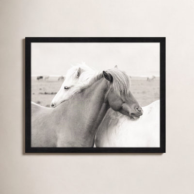 Melanie "Icelandic Meadow Horses" Print